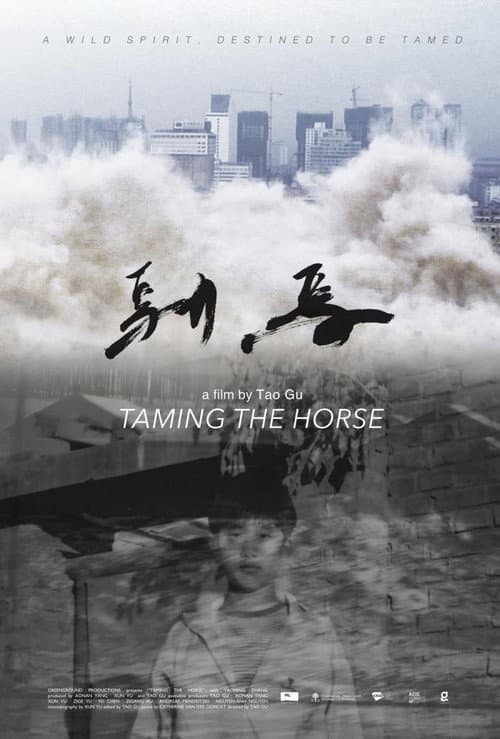 Poster for Taming the Horse