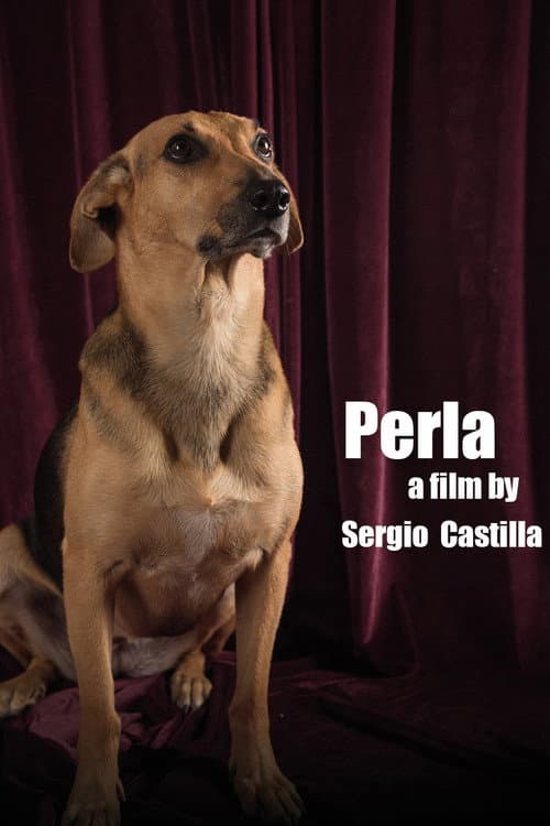 Poster for Perla