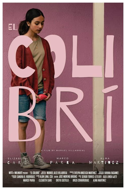 Poster for El Colibrí