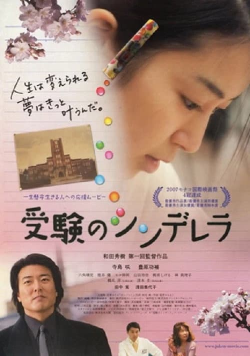 Poster for Cinderella Formula