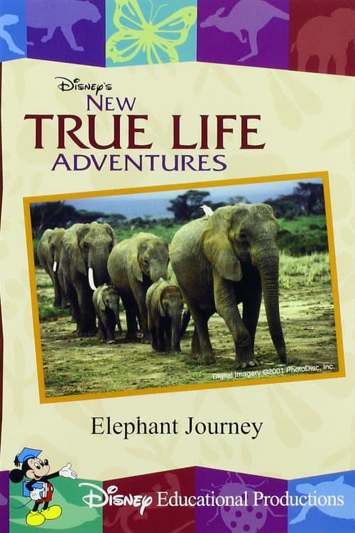 Poster for Elephant Journey
