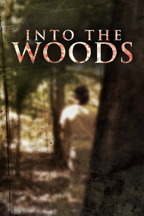 Poster for Into the Woods