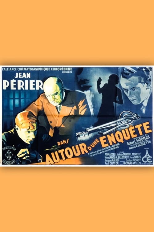 Poster for About an investigation