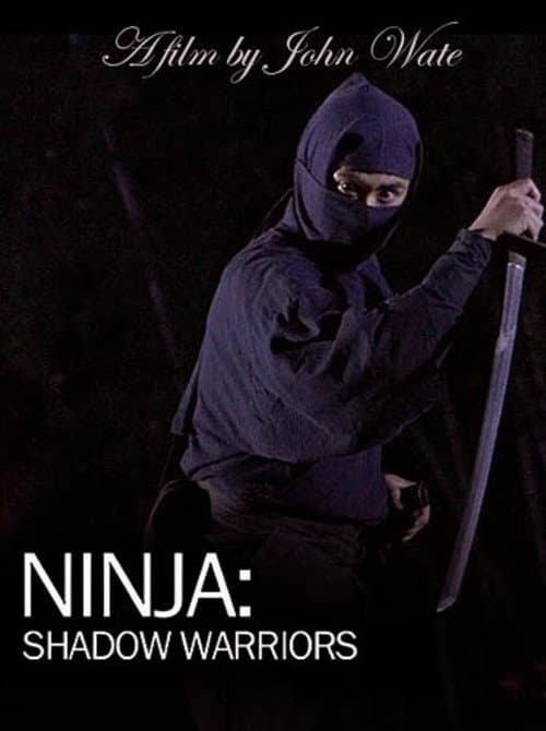 Poster for Ninja Shadow Warriors