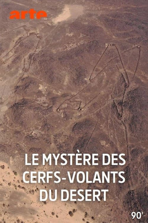 Poster for Le mystère des cerfs-volants du désert