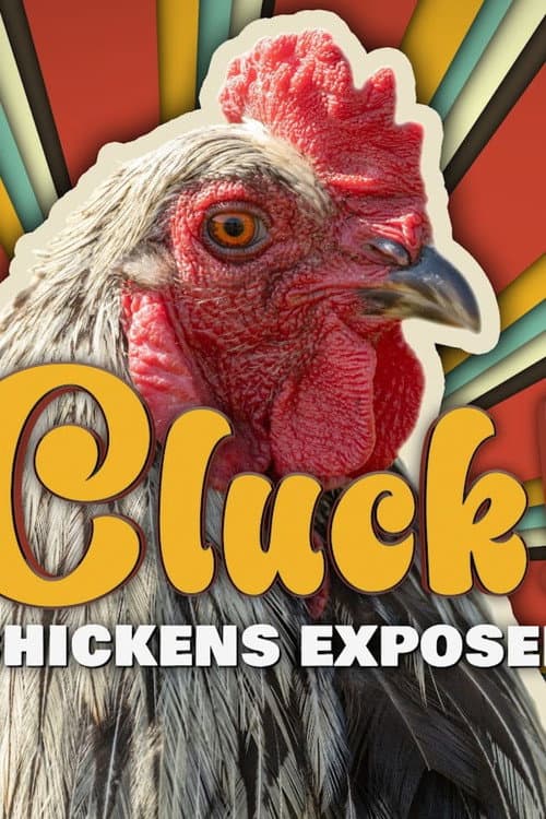 Poster for Cluck! Chickens Exposed