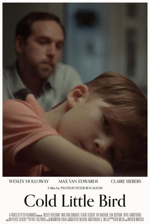 Poster for Cold Little Bird
