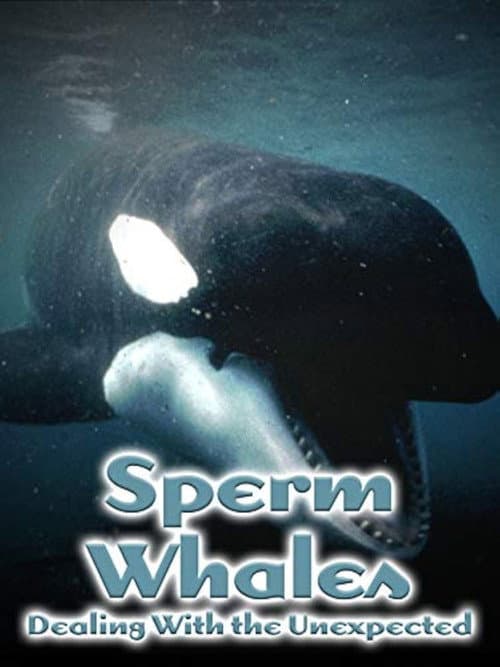 Poster for Sperm Whales: Dealing with the Unexpected