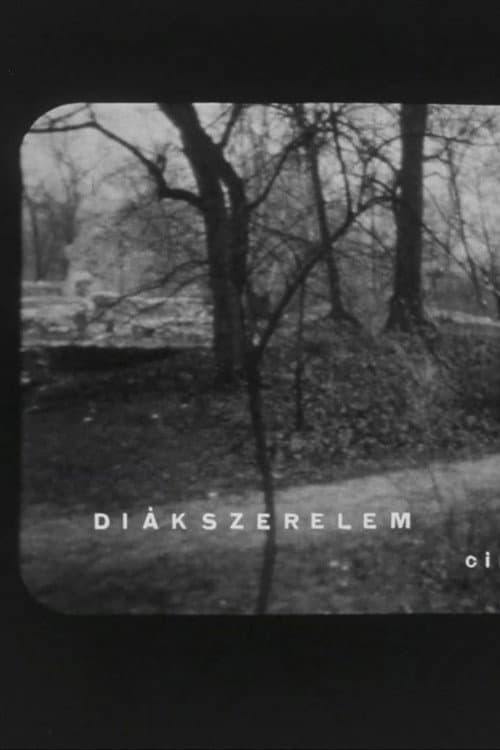 Poster for Diákszerelem