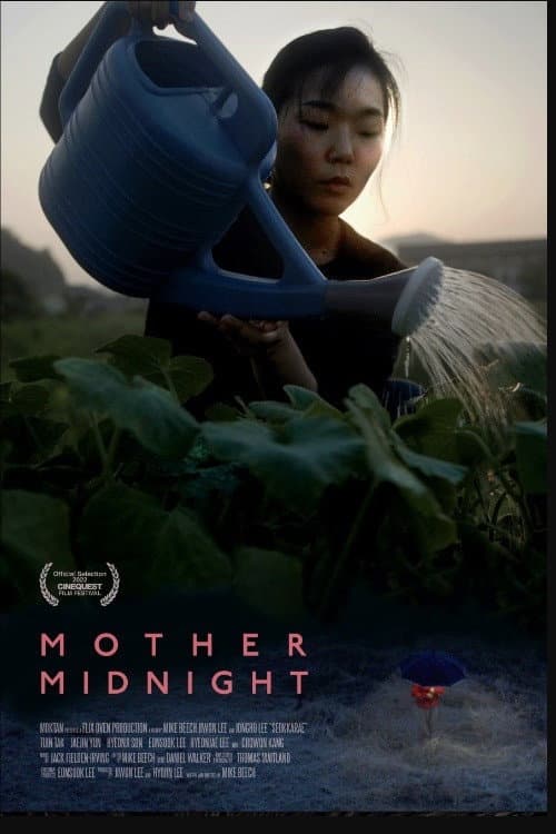 Poster for Mother Midnight