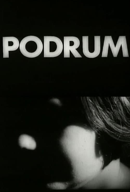 Poster for The Basement