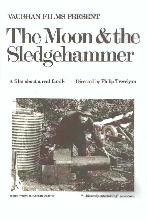 Poster for The Moon and the Sledgehammer