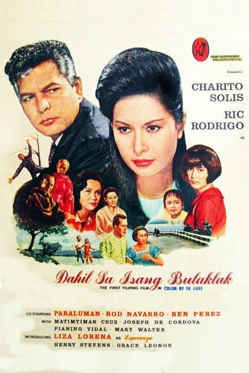 Poster for Because of a Flower