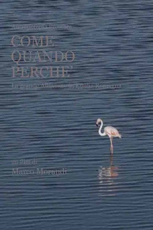Poster for Come quando perché