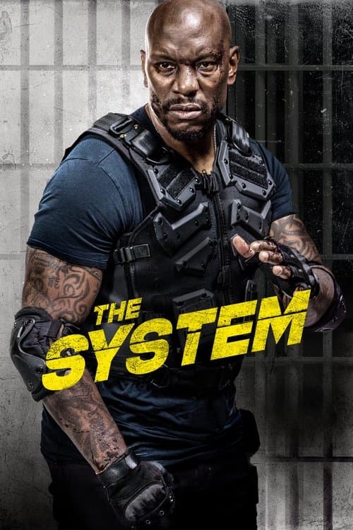 Poster for The System