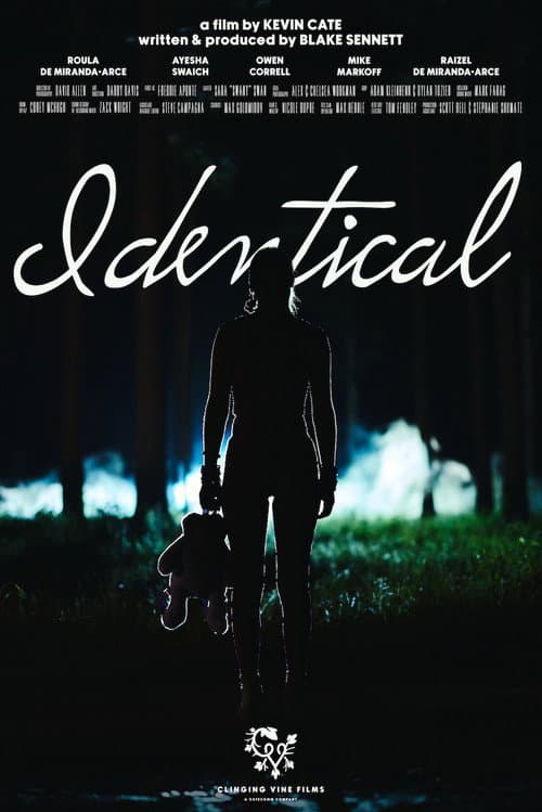 Poster for Identical