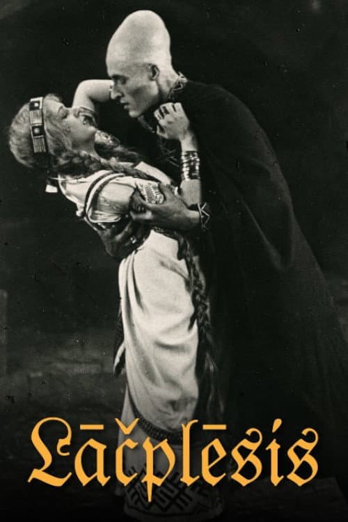 Poster for The Bearslayer