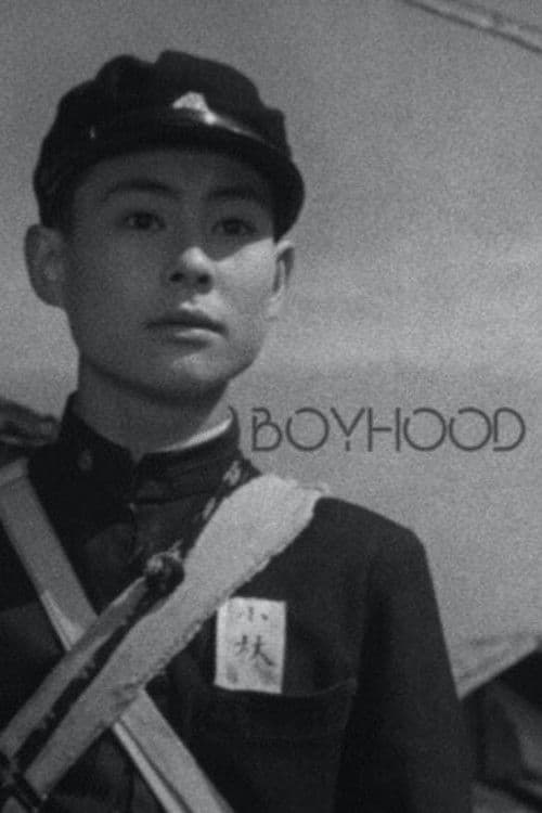 Poster for Boyhood