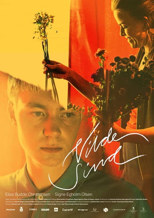 Poster for Vilde sind