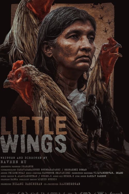 Poster for Little Wings