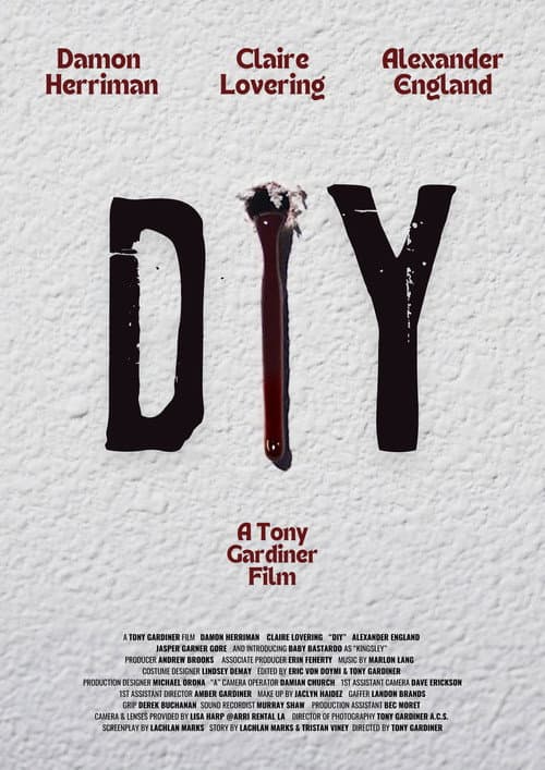 Poster for DIY