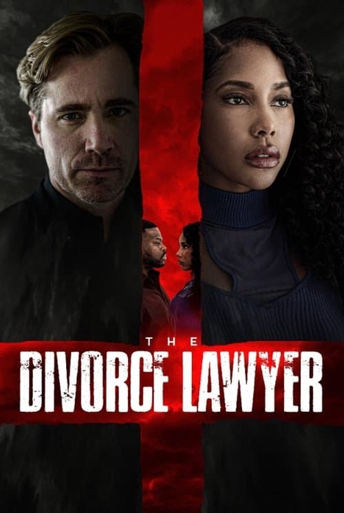 Poster for The Divorce Lawyer