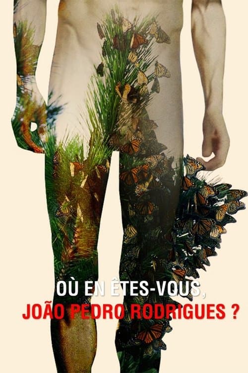 Poster for Where Do You Stand Now, João Pedro Rodrigues?