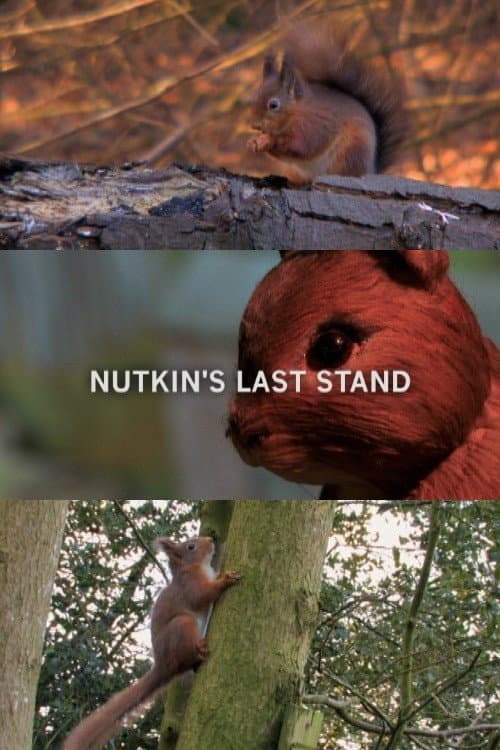Poster for Nutkin's Last Stand