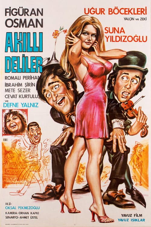 Poster for Akıllı Deliler