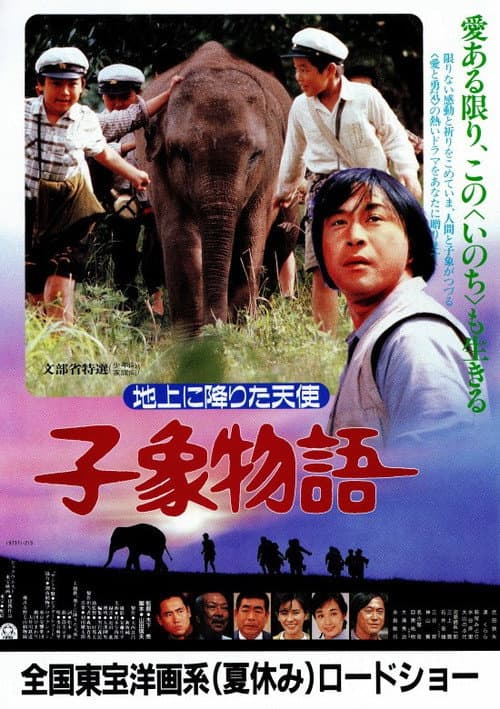 Poster for Baby Elephant Story: The angel who descended to earth