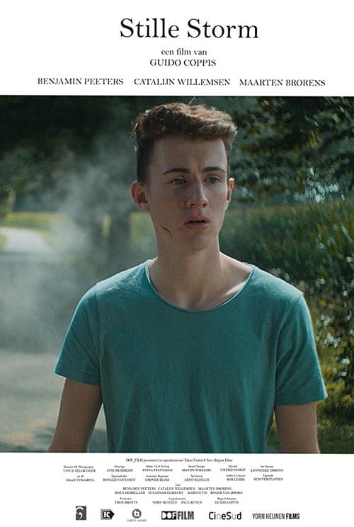 Poster for Silent Storm