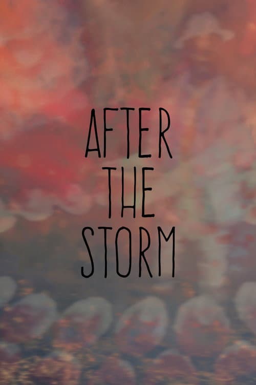 Poster for After the Storm