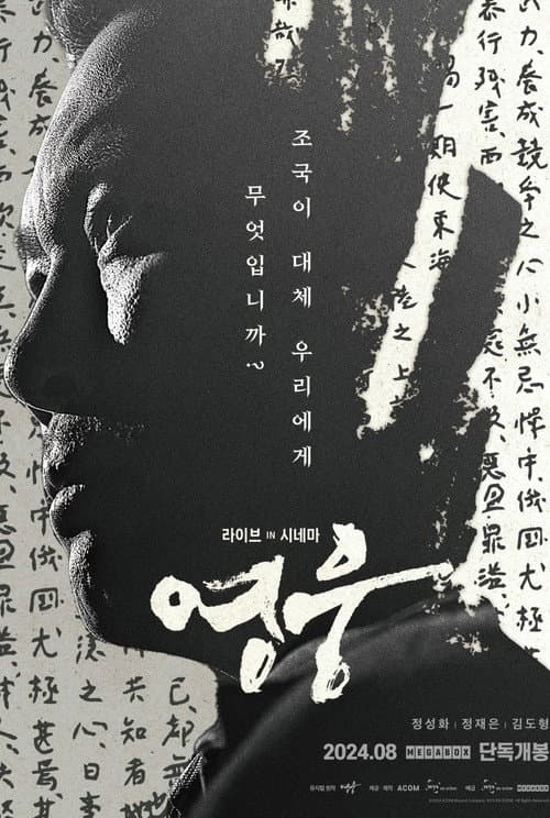 Poster for Hero: Live in Cinema