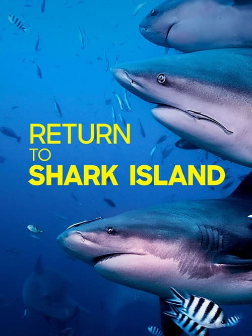 Poster for Return to Shark Island