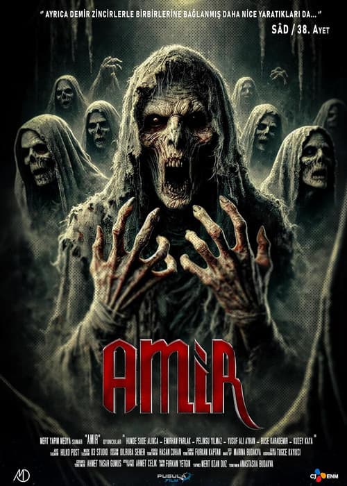 Poster for Amir