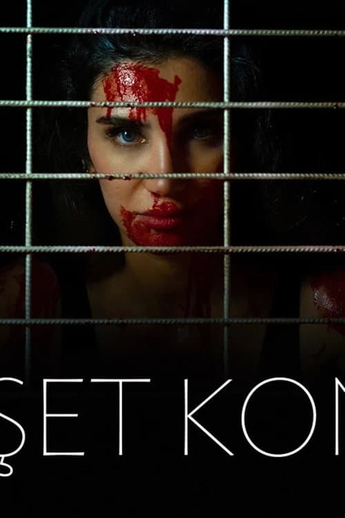 Poster for Dehşet Konağı