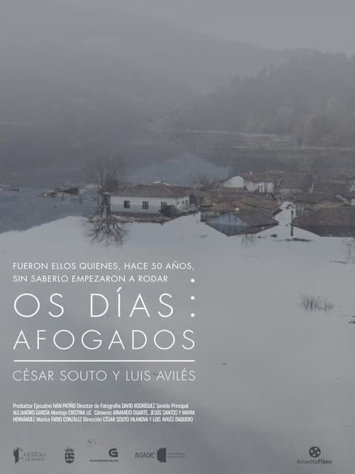 Poster for Os Días Afogados
