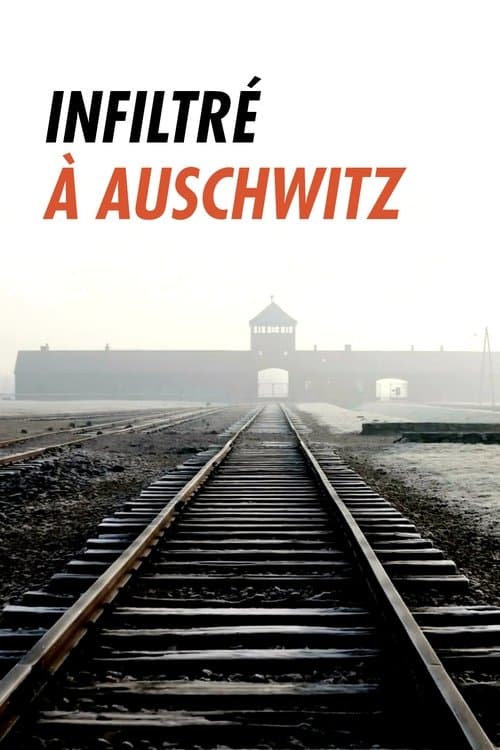 Poster for Infiltré à Auschwitz