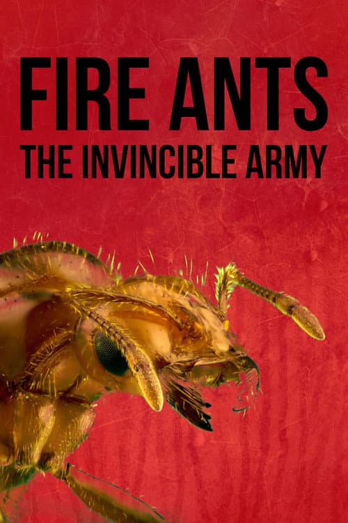 Poster for Fire Ants 3D: The Invincible Army