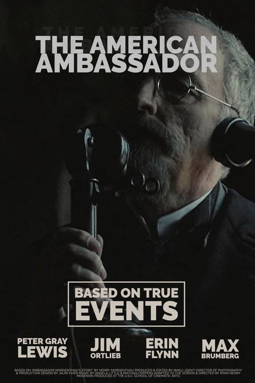 Poster for The American Ambassador