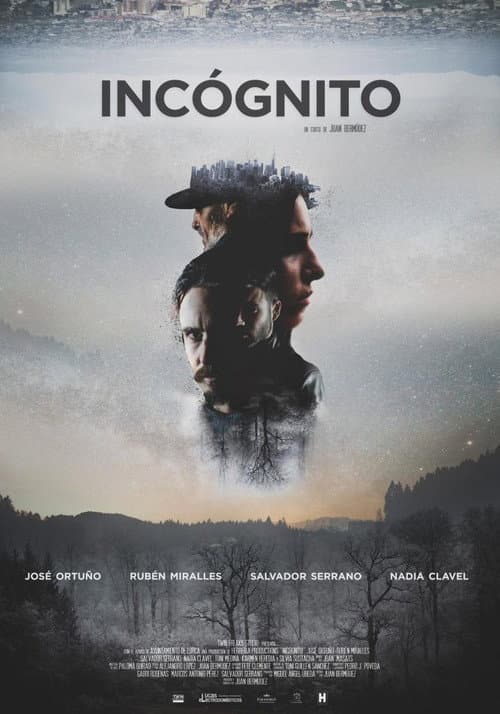 Poster for Incógnito