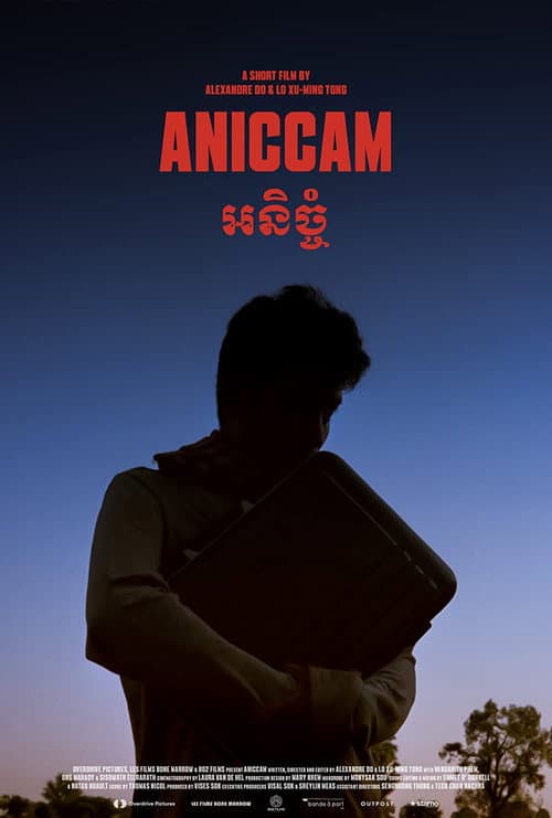 Poster for Aniccam