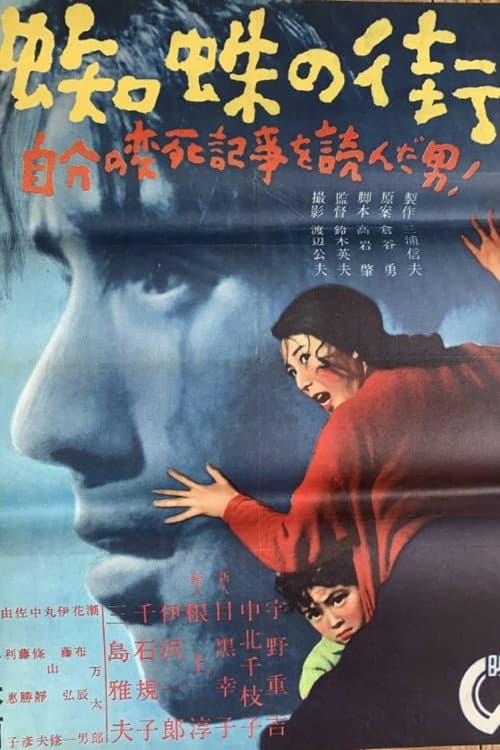 Poster for City of the Spider