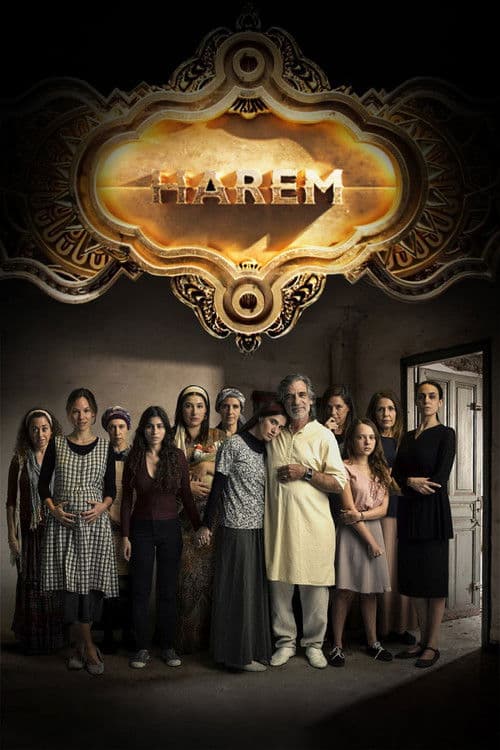 Постер до серіалу «Harem»