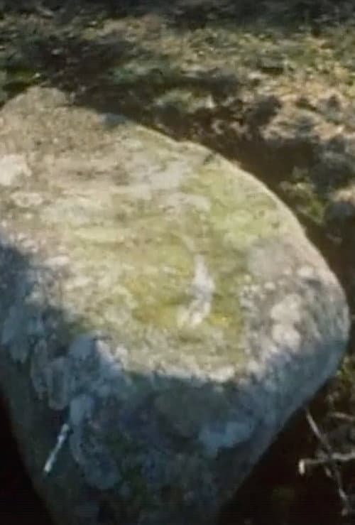 Poster for Wales Stone Circles