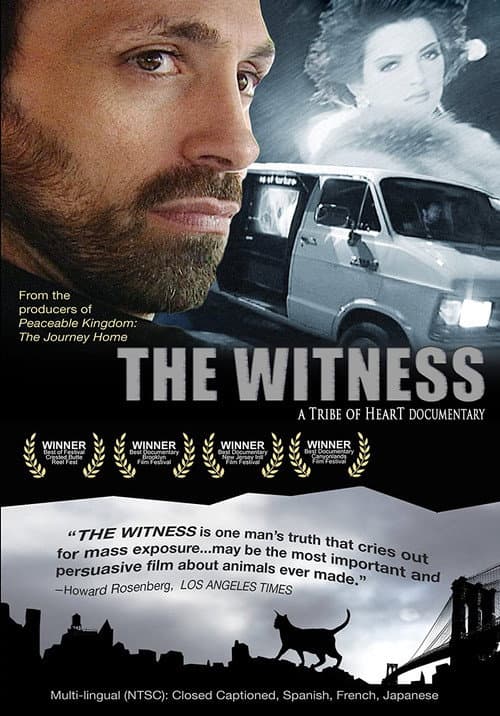 Poster for The Witness