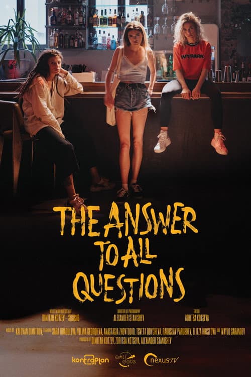 Poster for The Answer To All Questions
