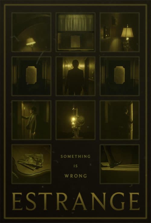 Poster for Estrange
