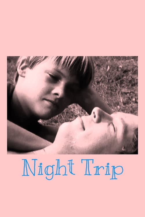 Poster for Night Trip