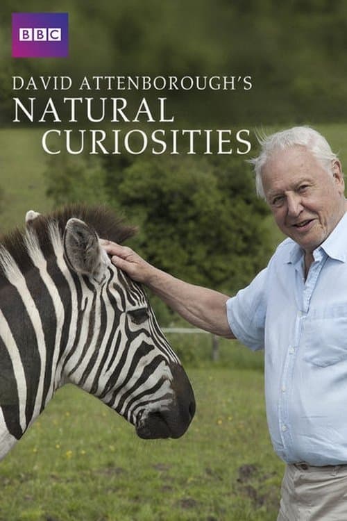 Poster for David Attenborough's Natural Curiosities